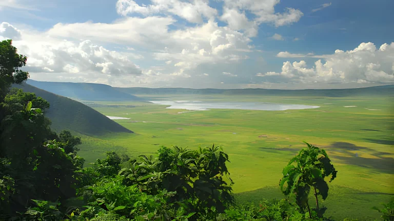 NGORONGOROCRATER