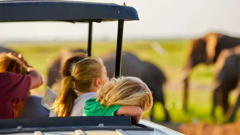 kids-on-family-safaris