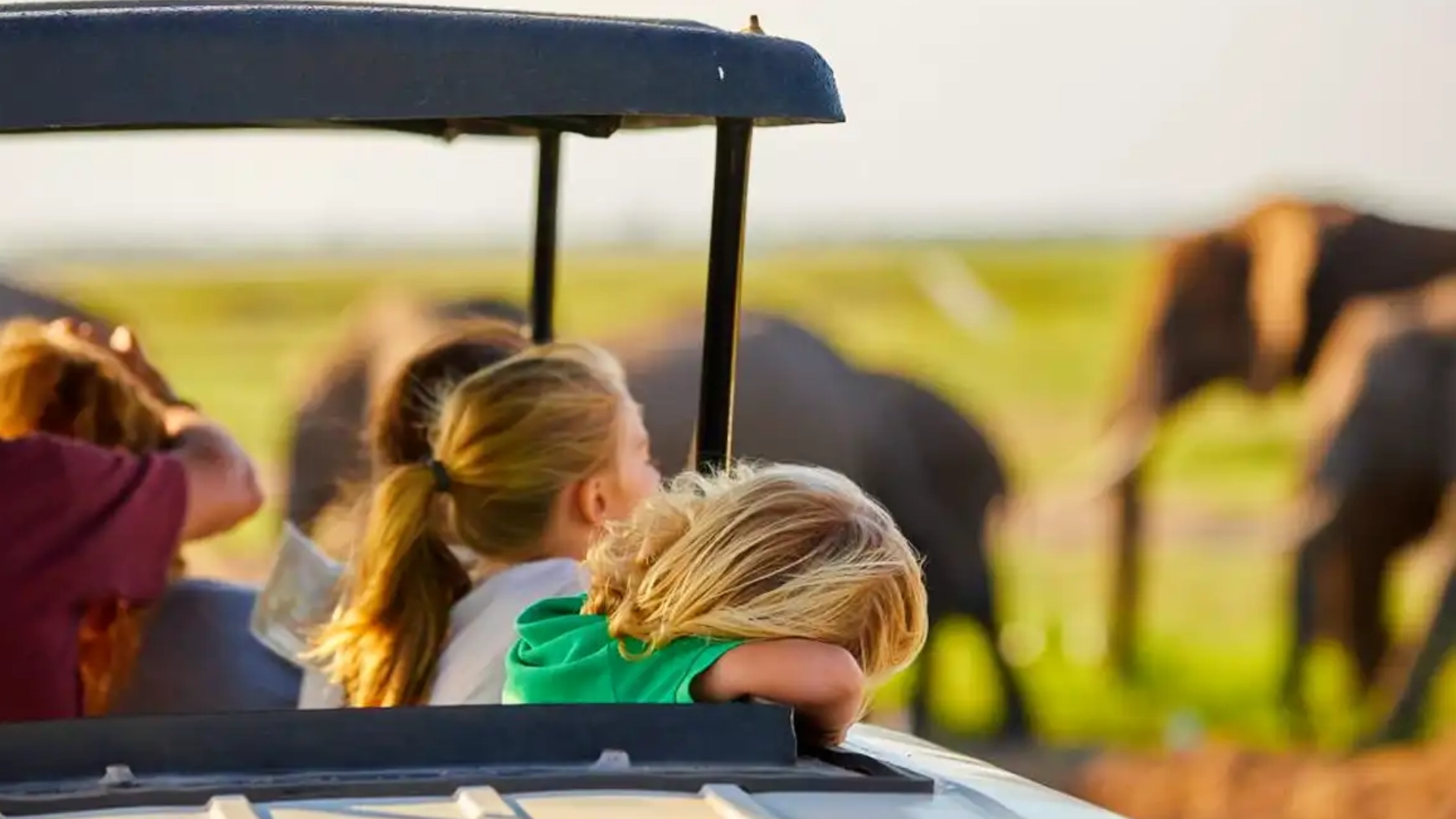 Safari with Kids in Africa Safaris