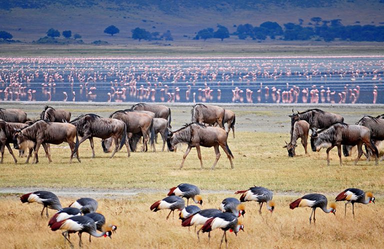 lake manyara