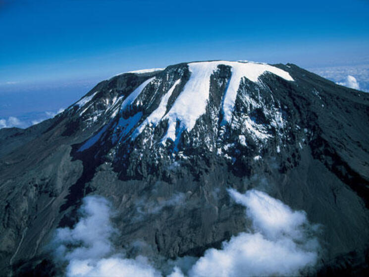 kilimanjaro