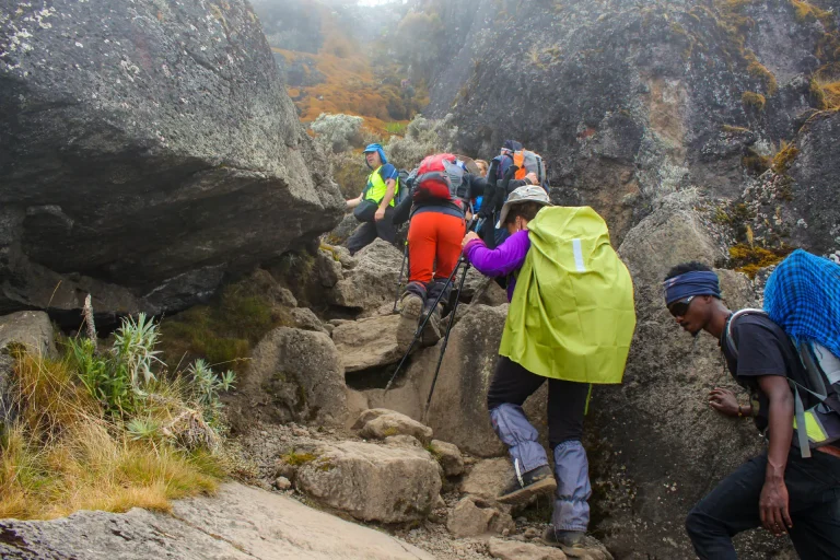 Kilimanjaro-Climbing-umbwe