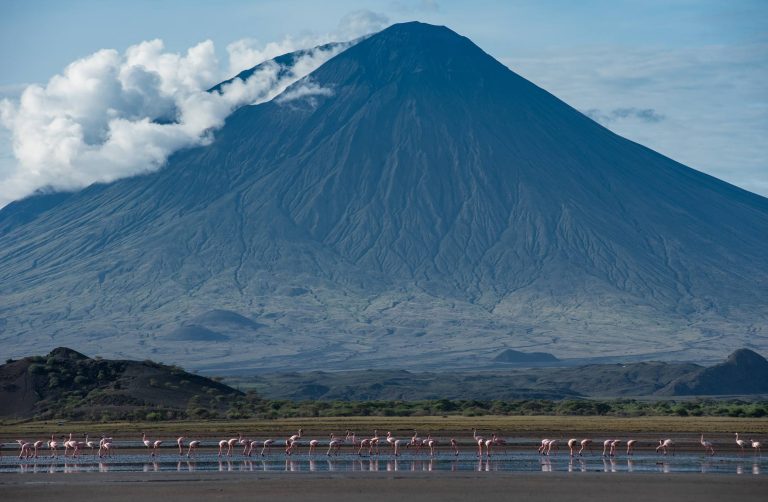 ngorongoro highland 3